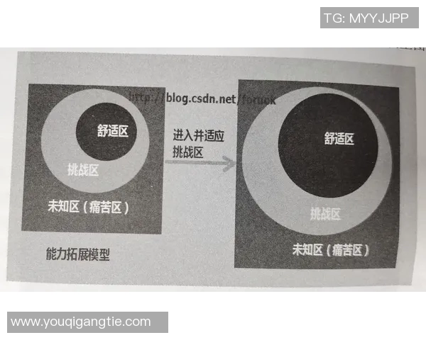 上海篮球明星徐的成长之路与职业生涯的辉煌成就解析